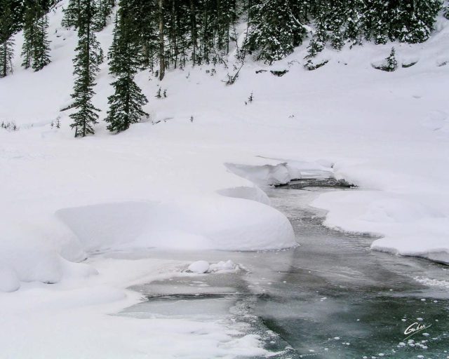 Winter Scenes Lake Louise Alberta 23