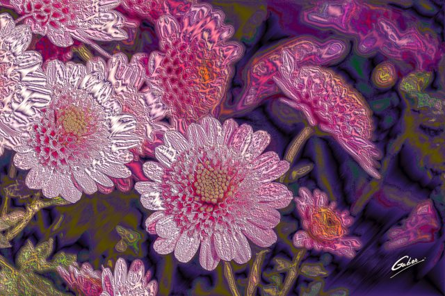 Chrysanthemum indicum 2020 04