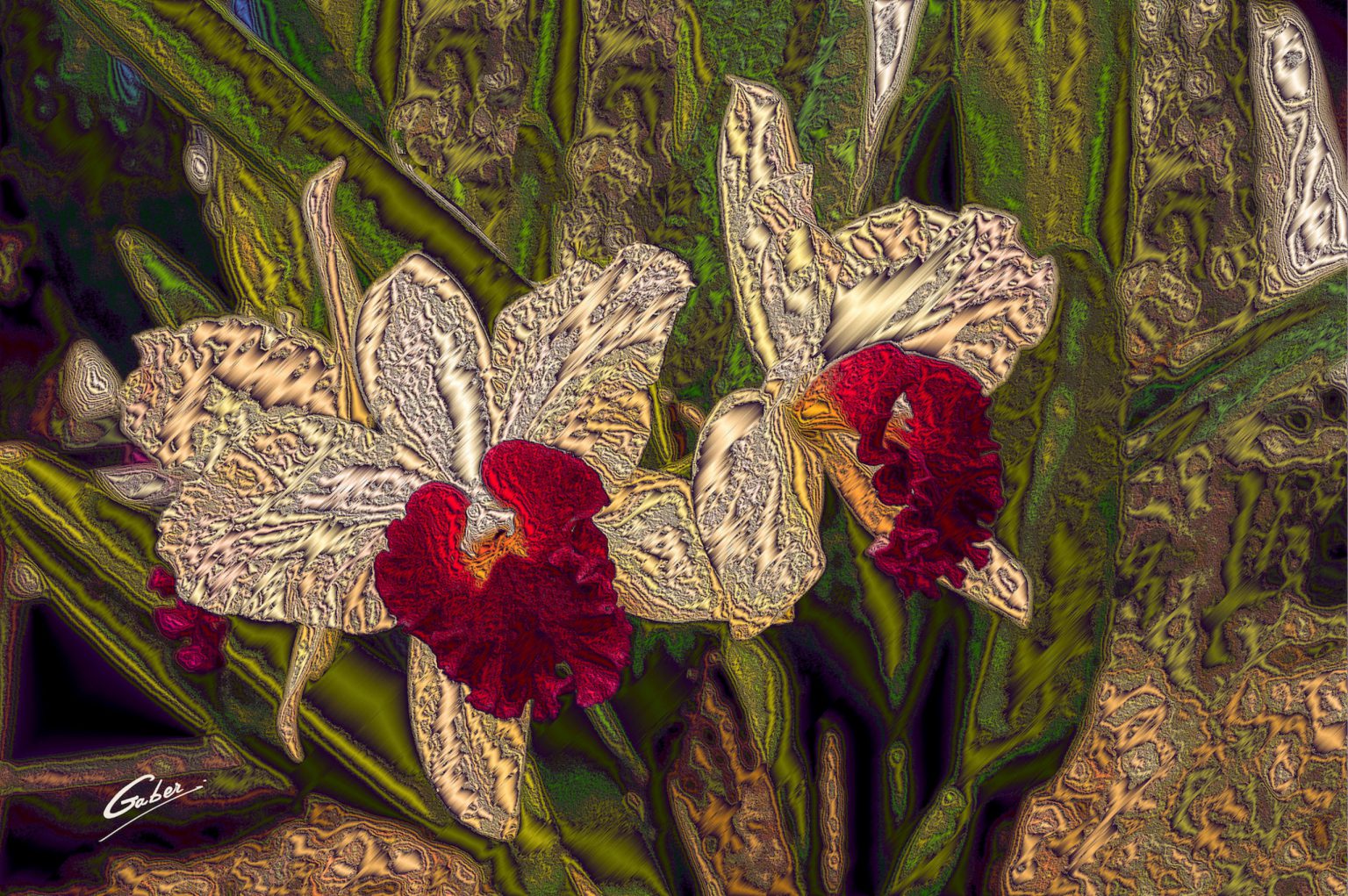 Orchids Cattleya 2020 05