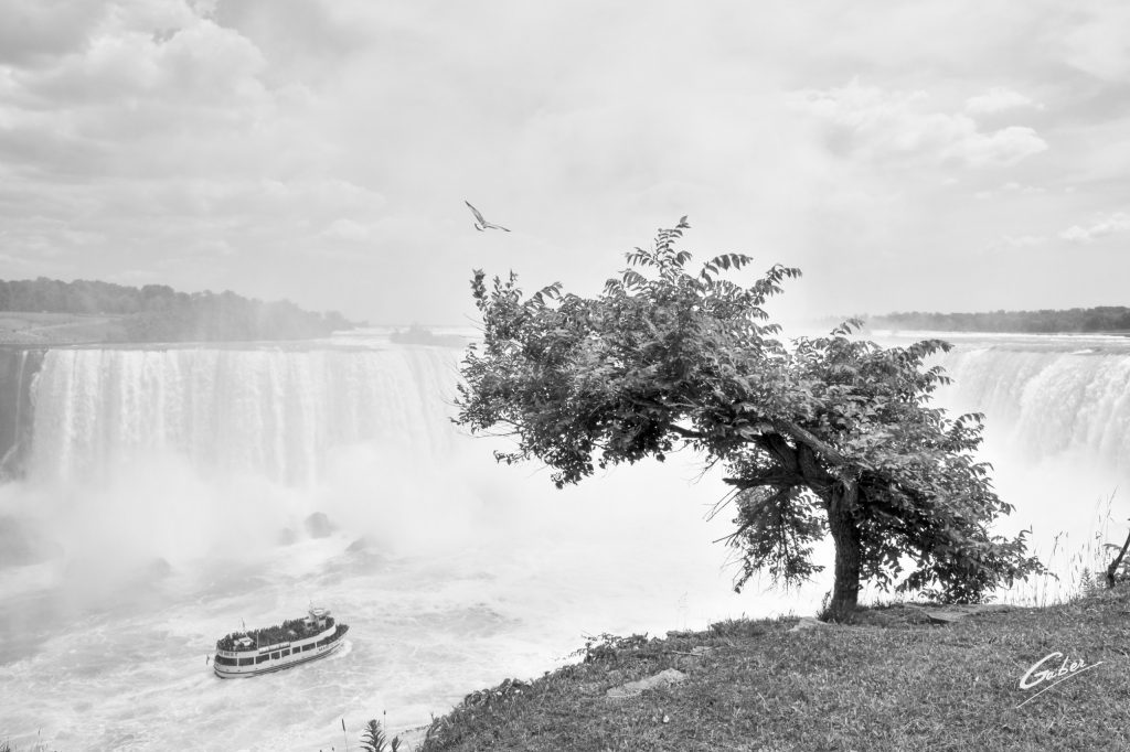 Summer Scenes, Niagara Falls, Canada, 2018  05