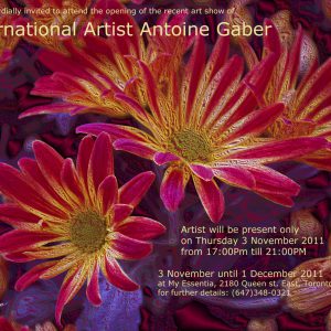 Antoine Gaber, collection d'art numérique de sa série d'œuvres d'art à la galerie "My Essentia" à Toronto, Ontario, Canada.