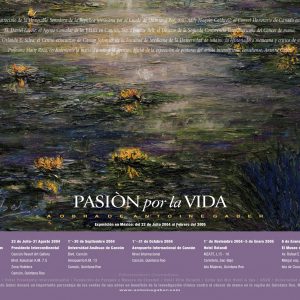 Passion for Life in Mexico Promotional Poster.