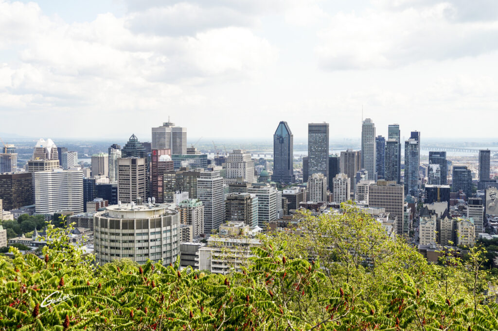 Montreal Architecture, Skyline View 2021  02