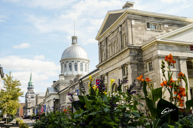Old Montreal Architecture, Marché Bonsecours 2021  02