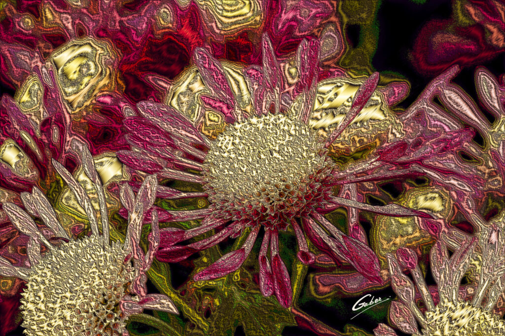 Chrysanthemum grandiflorum 2021  19