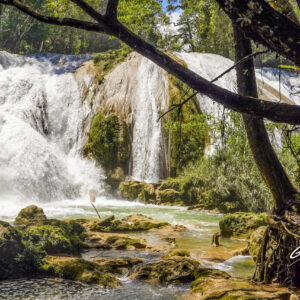 Agua Azul Waterfalls, Chiapas, Mexico 2022  05