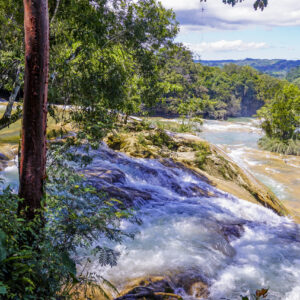 Agua Azul Waterfalls, Chiapas, Mexico 2022  08