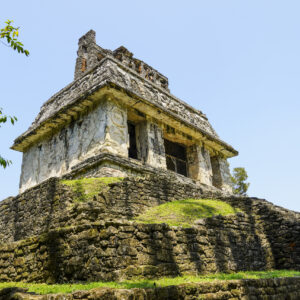 Palenque Archeological Site 2022  14