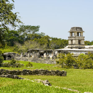 Palenque Archeological Site 2022  21