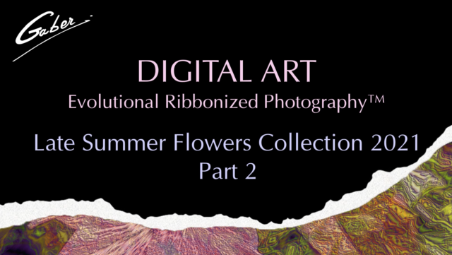 Late Summer Flowers Collection 2021 Part 2