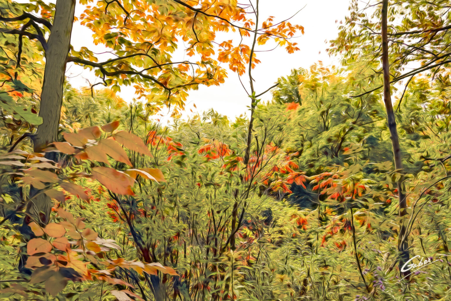 Early Fall Landscape Scenes 2022  05