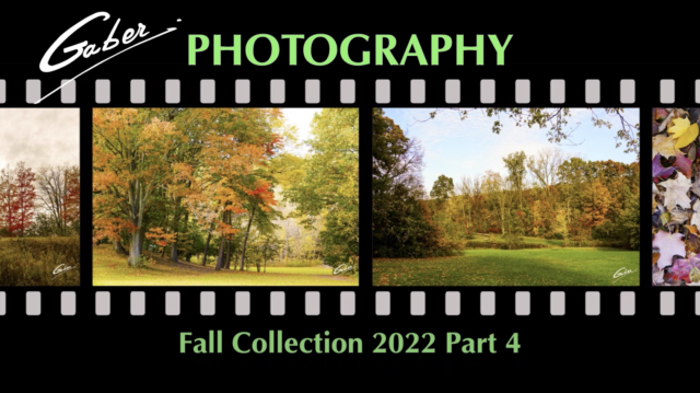Fall Landscape Scenes Collection 2022 Part 4