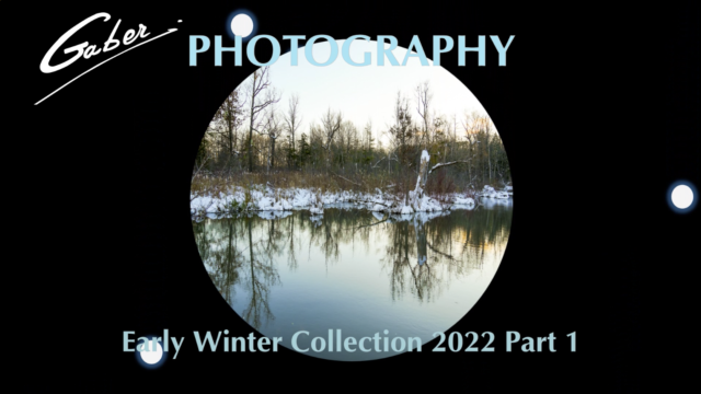 Early Winter Collection 2022 Photography Part 1