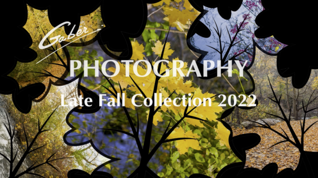 Late Fall Collection 2022 Photography