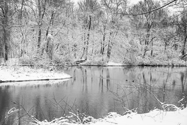 Early Winter Landscape Scenes 2024  36