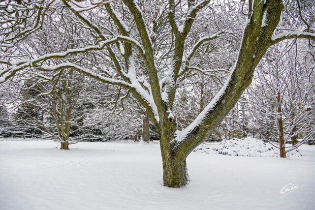 Early Winter Landscape Scenes 2024  16