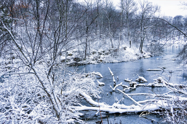 Early Winter Landscape Scenes 2024  46