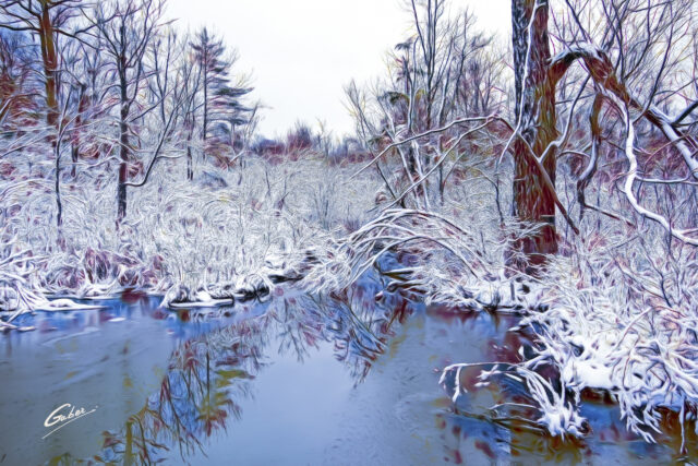 Early Winter Landscape Scenes 2024  96