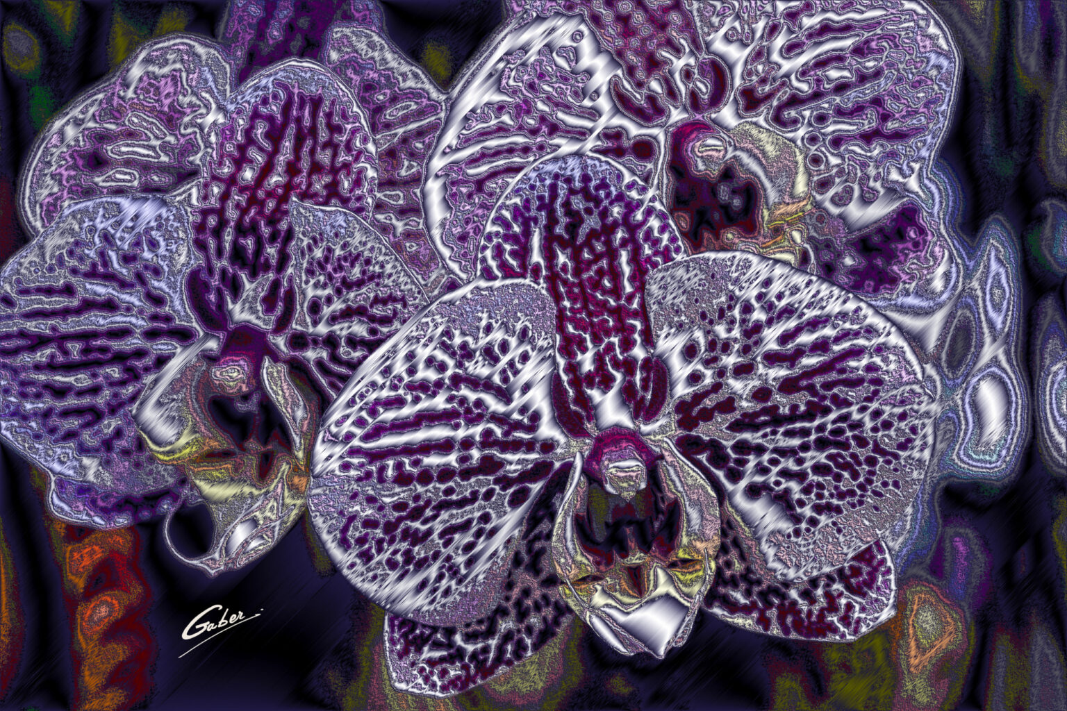 Orchid_Phaelenopsis 04