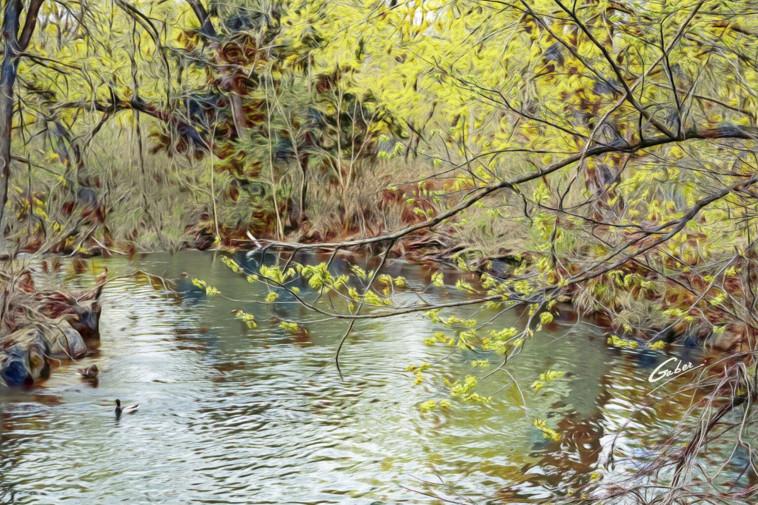 Early Spring Scenery 2025  01