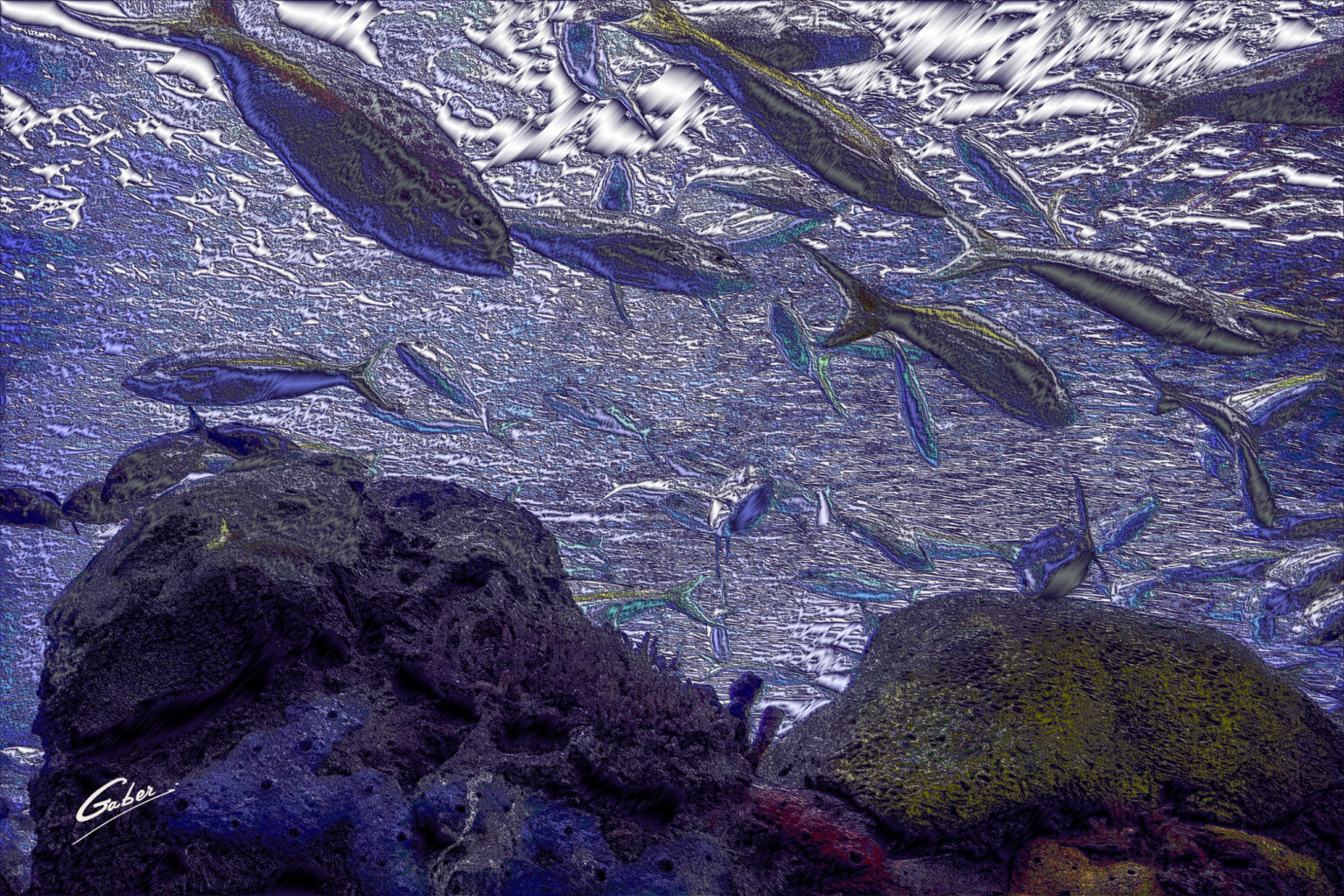 School of Fish 16