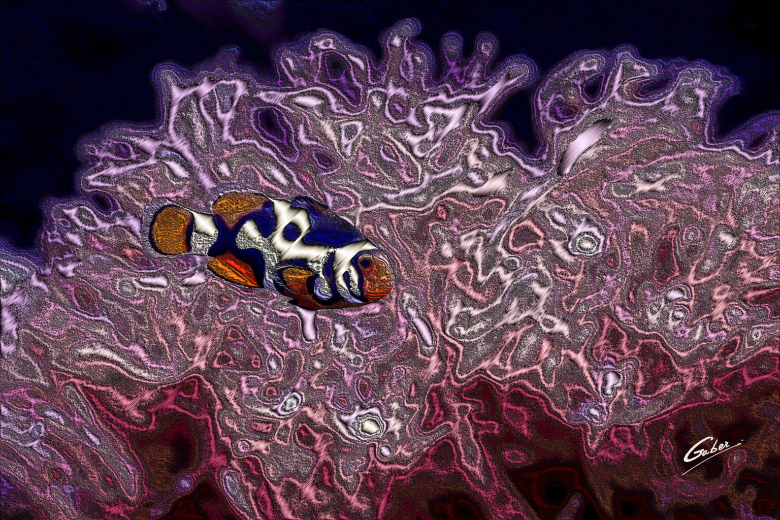 Picasso Clownfish 49